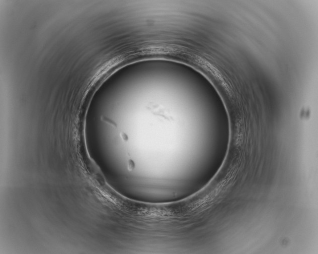 X0000096130786200801251016