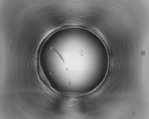 X0000096130787200801251016