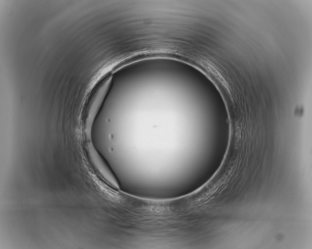 X0000096130789200801251016
