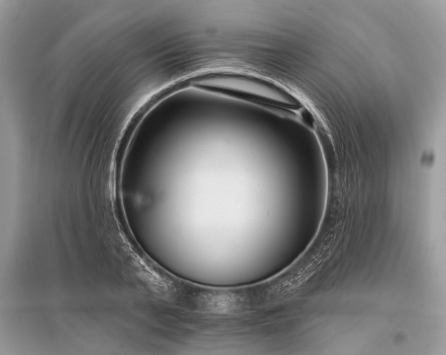 X0000096130791200801251016