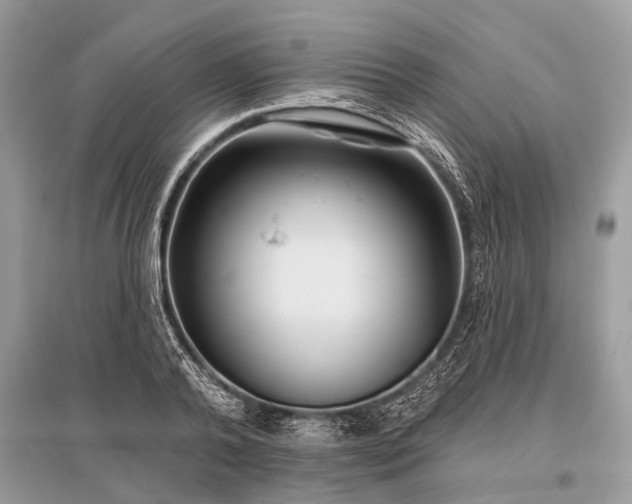 X0000096130792200801251016