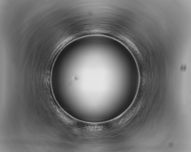 X0000096130793200801251016