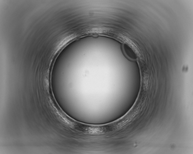 X0000096130794200801251016
