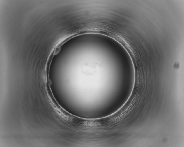 X0000096130795200801251016