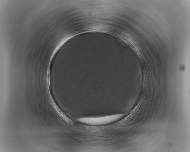 X0000096130796200801251016