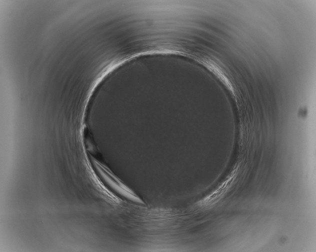 X0000096130797200801251016