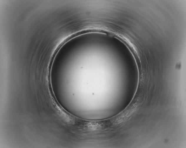 X0000096130799200801251015