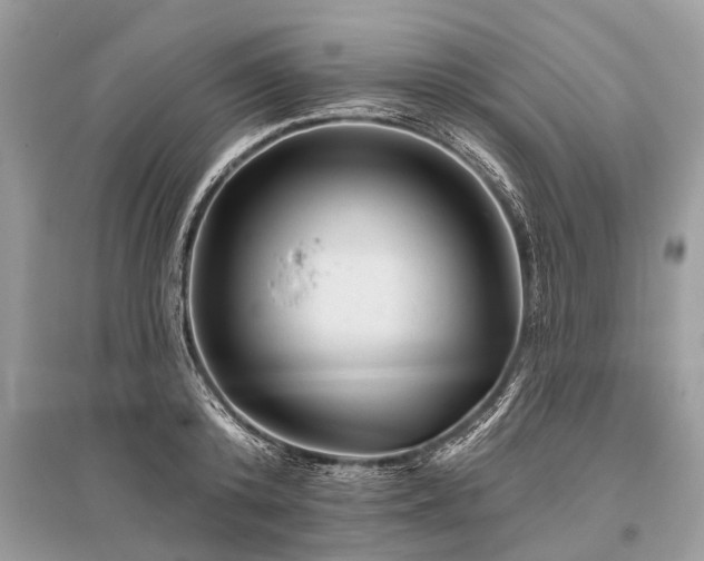 X0000096130800200801251015