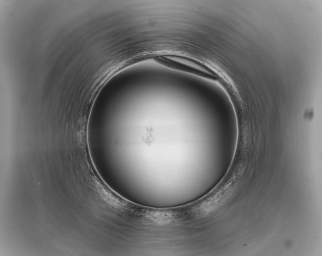 X0000096130801200801251015