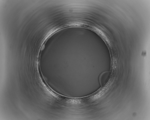 X0000096130802200801251015