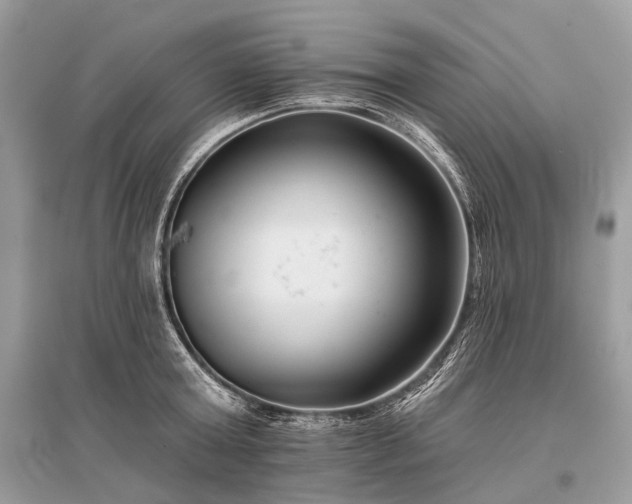 X0000096130803200801251015