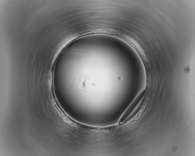 X0000096130804200801251015