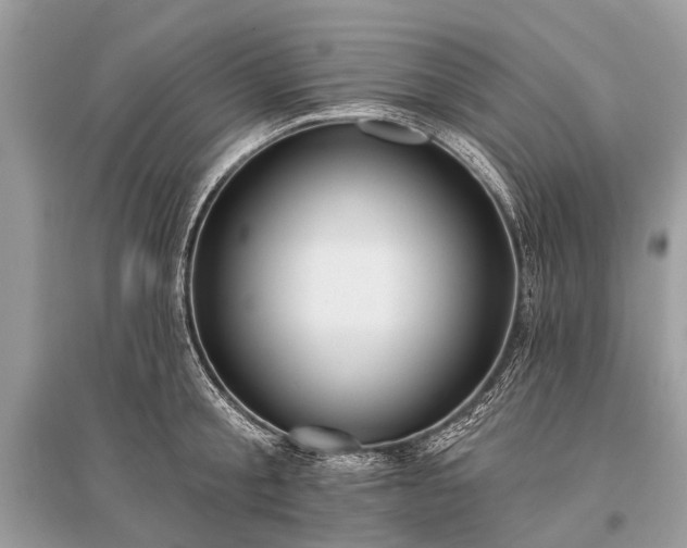 X0000096130805200801251015
