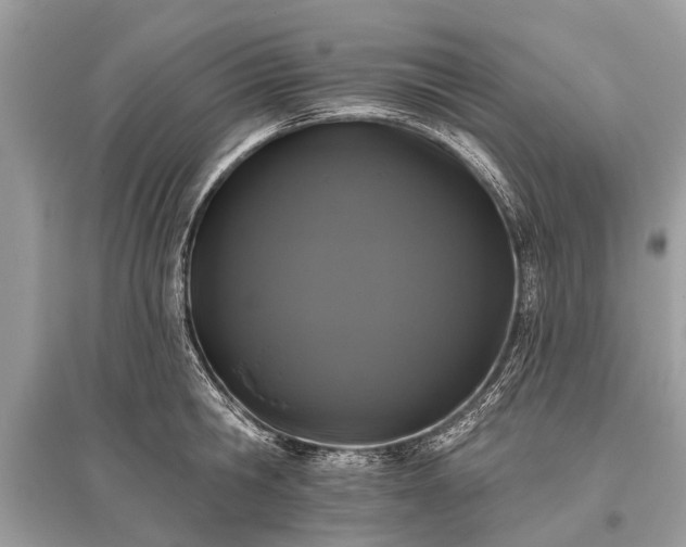 X0000096130806200801251015