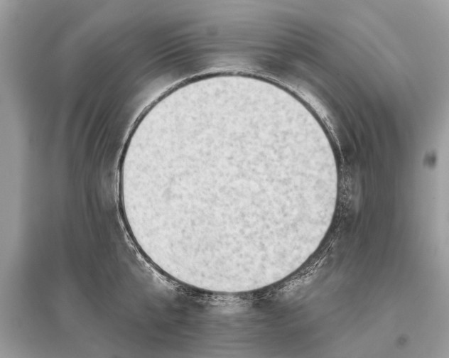 X0000096130807200801251015