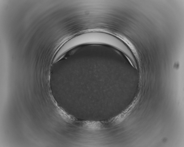 X0000096130809200801251015