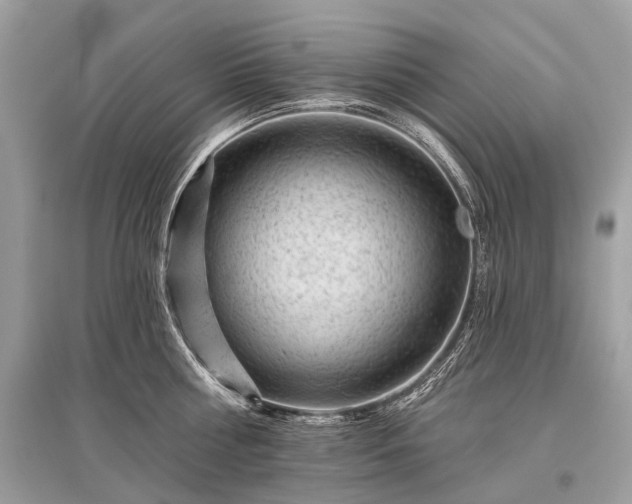 X0000096130810200801251015