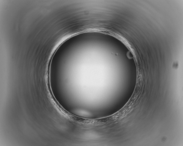 X0000096130811200801251015