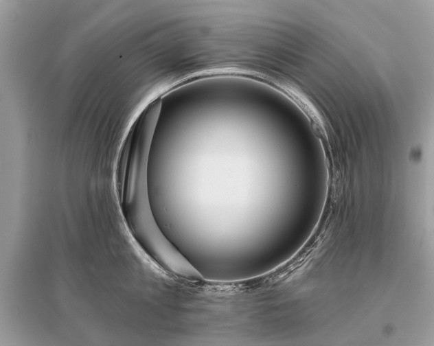 X0000096130813200801251015