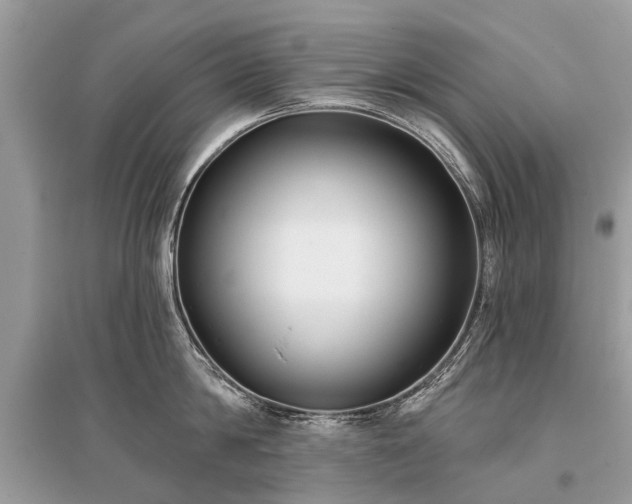 X0000096130814200801251015