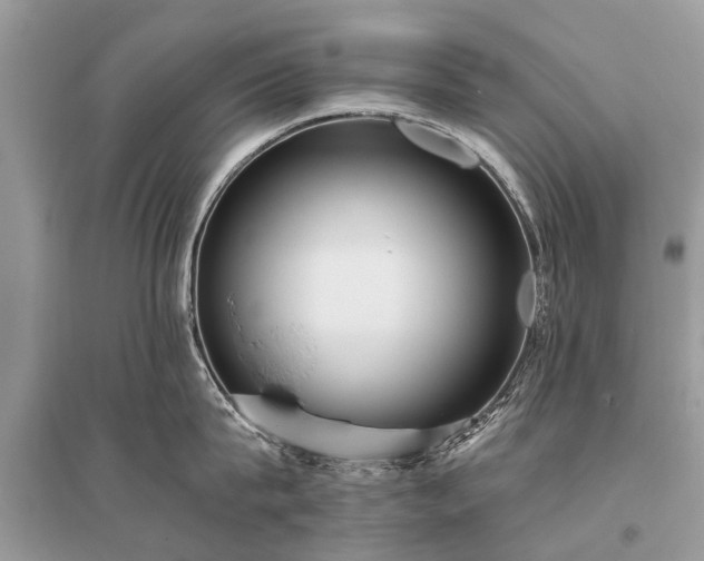 X0000096130815200801251015