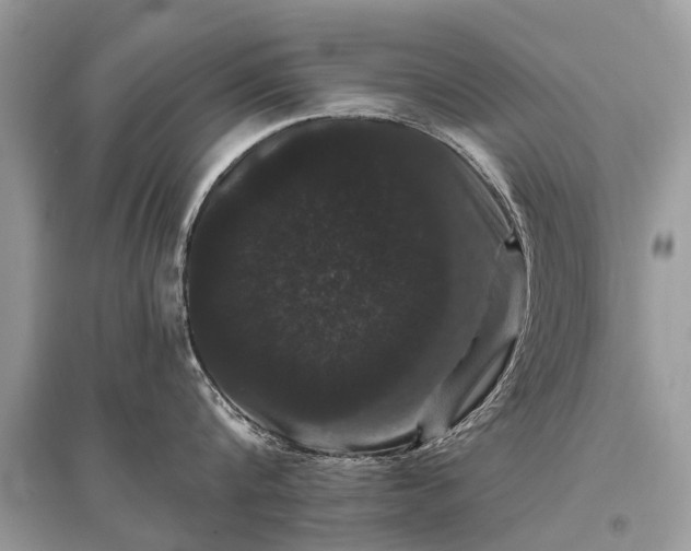 X0000096130816200801251015