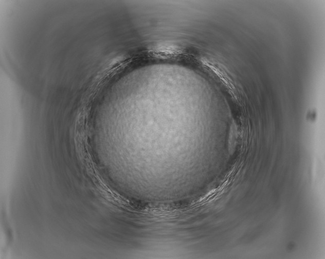 X0000096130817200801251014