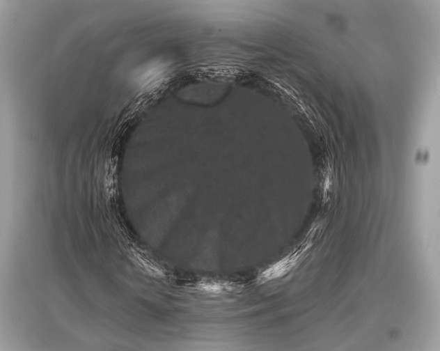 X0000096130818200801251014