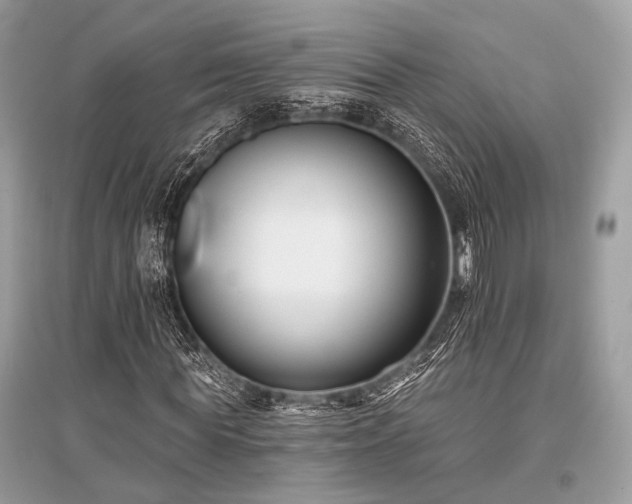 X0000096130819200801251014