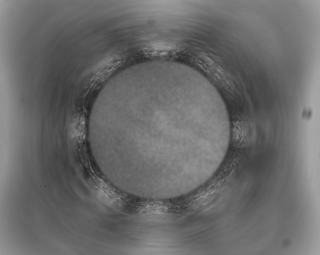 X0000096130820200801251014