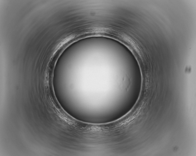 X0000096130827200801251015