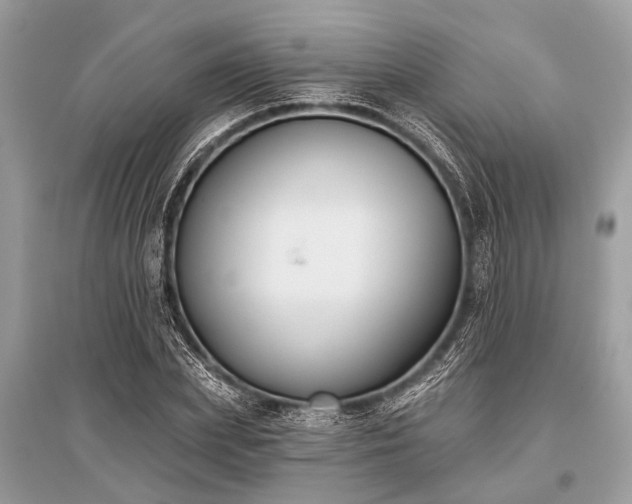 X0000096130831200801251015