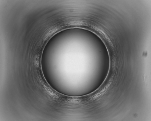 X0000096130833200801251015