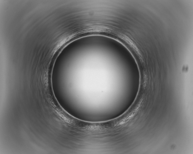 X0000096130834200801251015