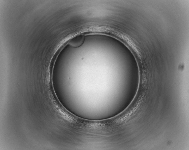 X0000096130837200801251015