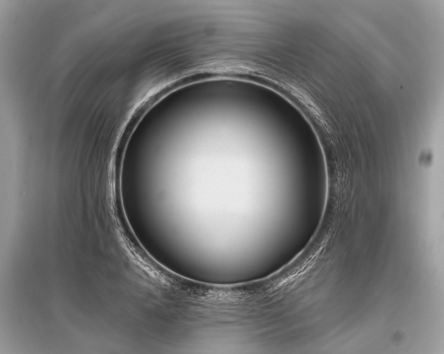 X0000096130840200801251015