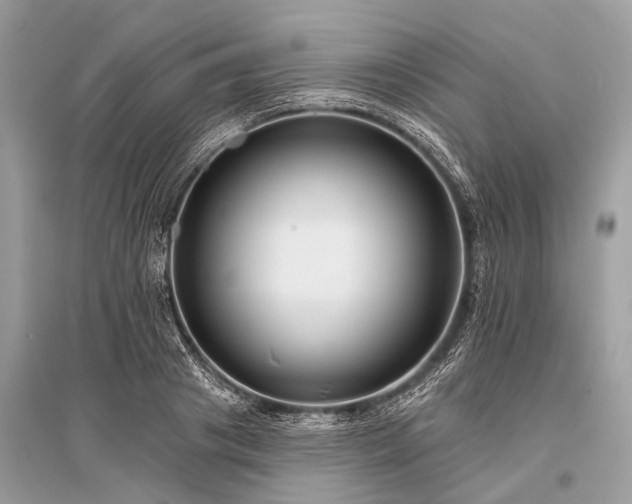 X0000096130841200801251015