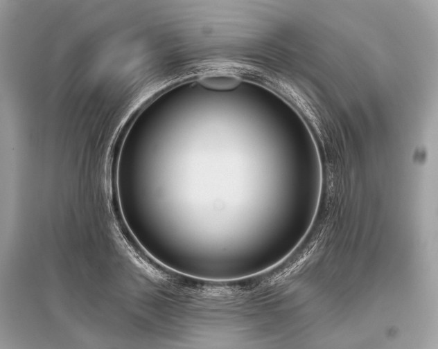 X0000096130843200801251015