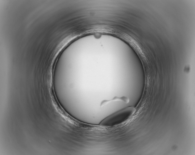 X0000096130844200801251015
