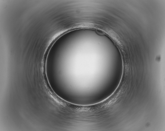 X0000096130846200801251015