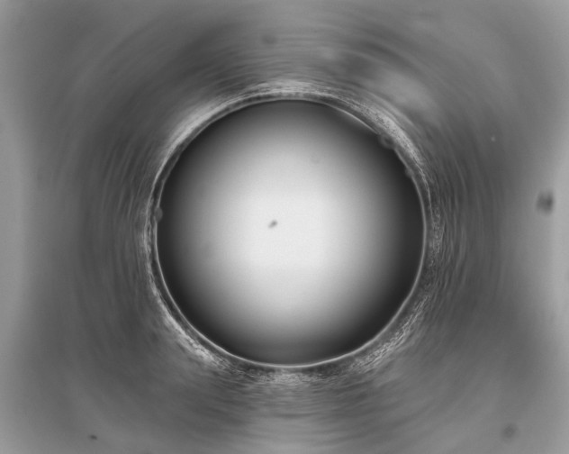 X0000096130847200801251015
