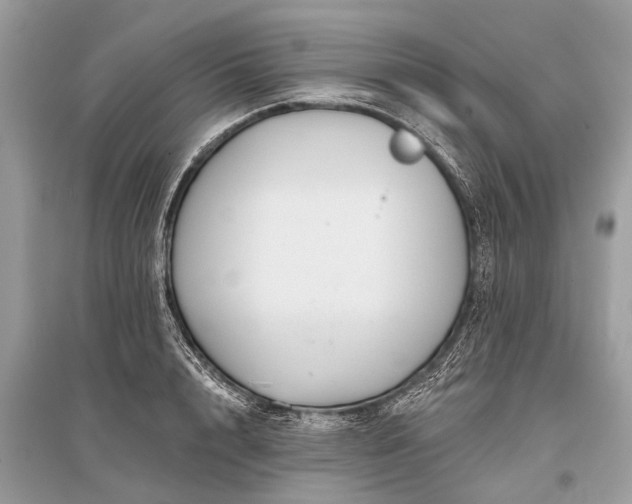 X0000096130848200801251015