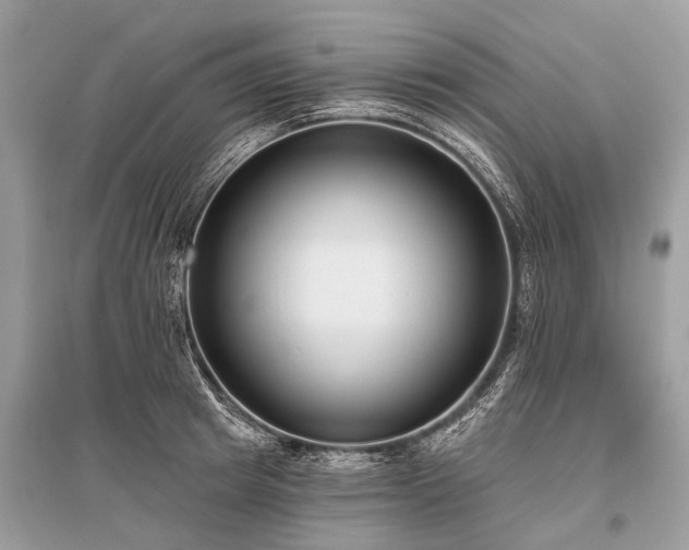 X0000096130849200801251015