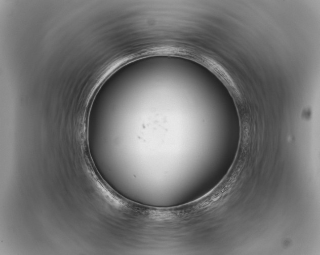 X0000096130852200801251015