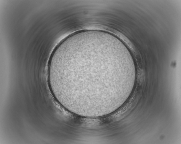 X0000096130856200801251015