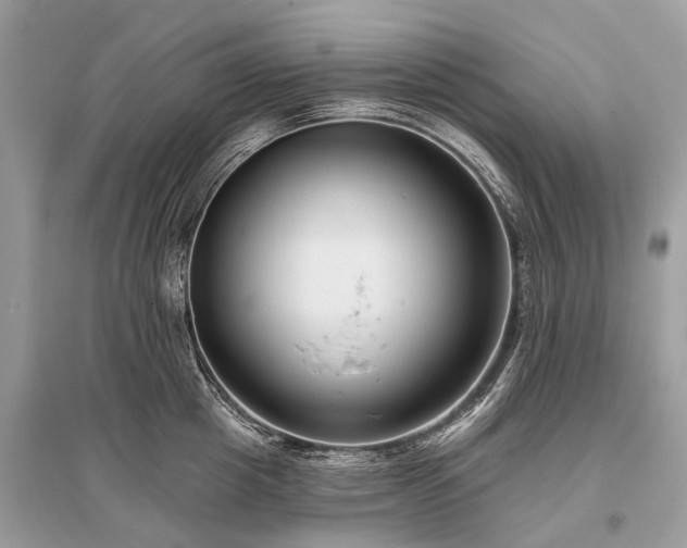 X0000096130857200801251015