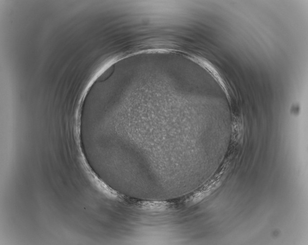 X0000096130859200801251015
