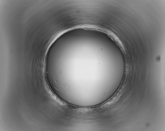 X0000096130860200801251015