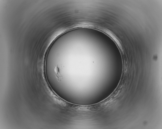 X0000096130861200801251015