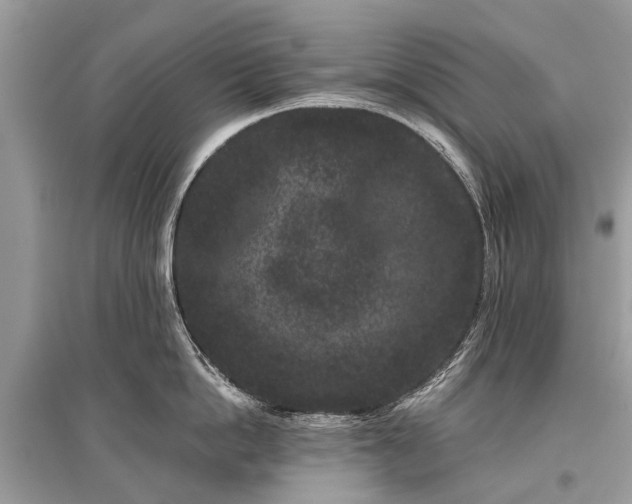 X0000096130862200801251015